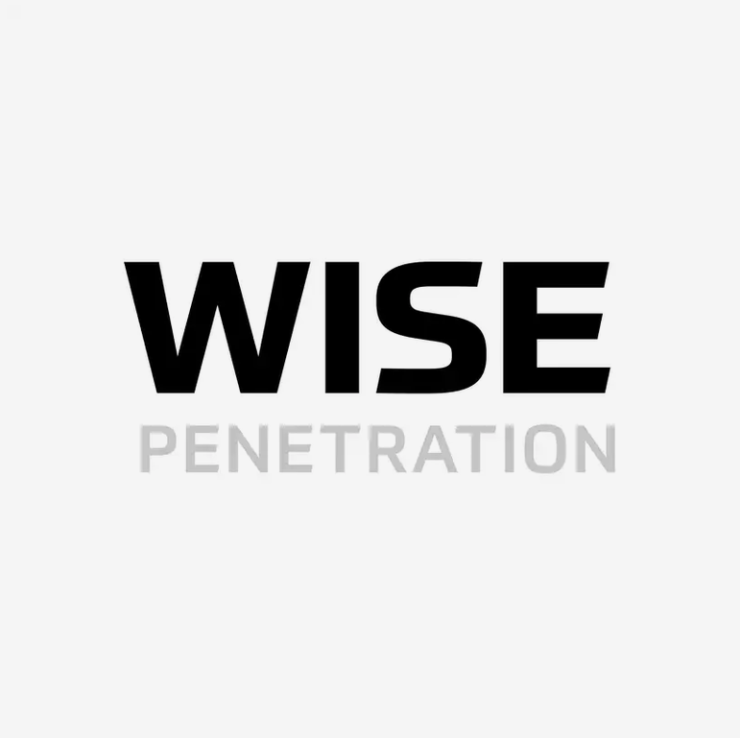 Kemppi WisePenetration